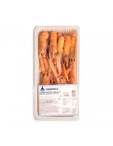scampi irlanda 17/20