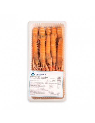 scampi irlanda 13/16