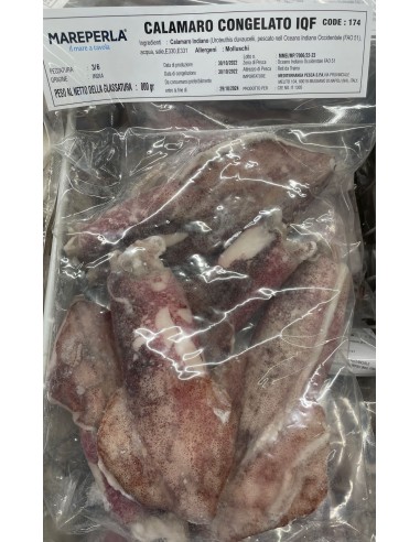 calamari sporchi india
