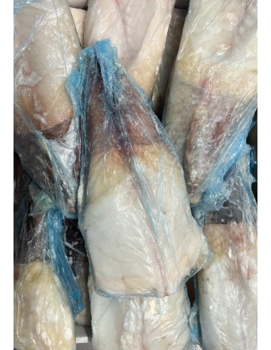 Coda di Rana Pescatrice