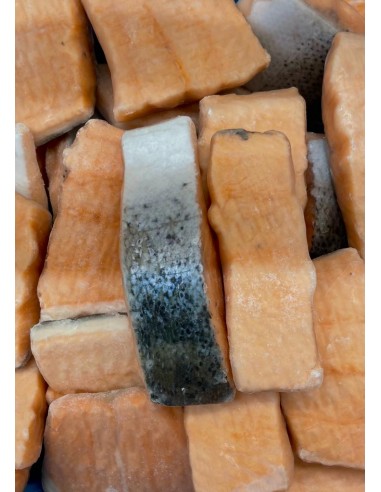 porzione di salmone con pelle