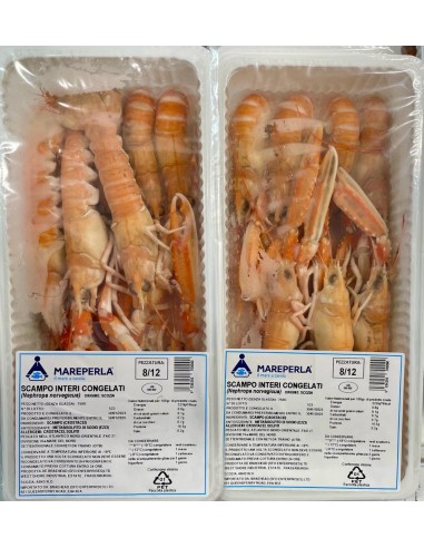 scampi irlanda 8/12 kg 1