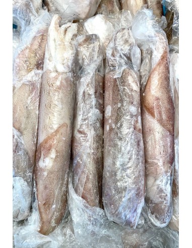 calamari sud africa